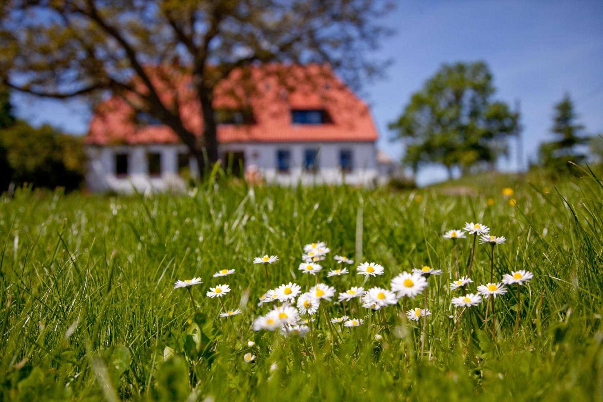 Hotel Gutshaus Ketelshagen Putbus Exteriér fotografie