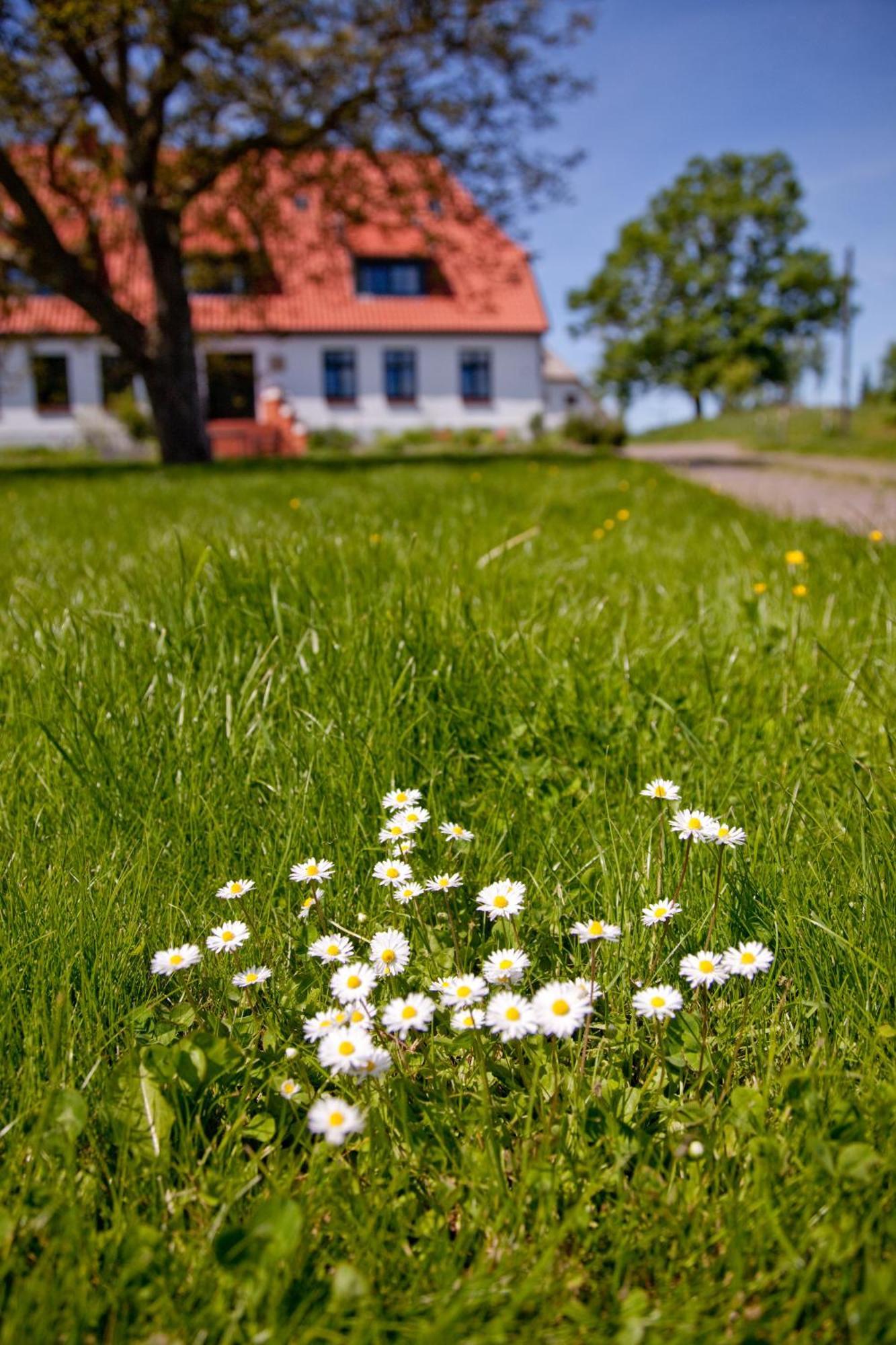 Hotel Gutshaus Ketelshagen Putbus Exteriér fotografie