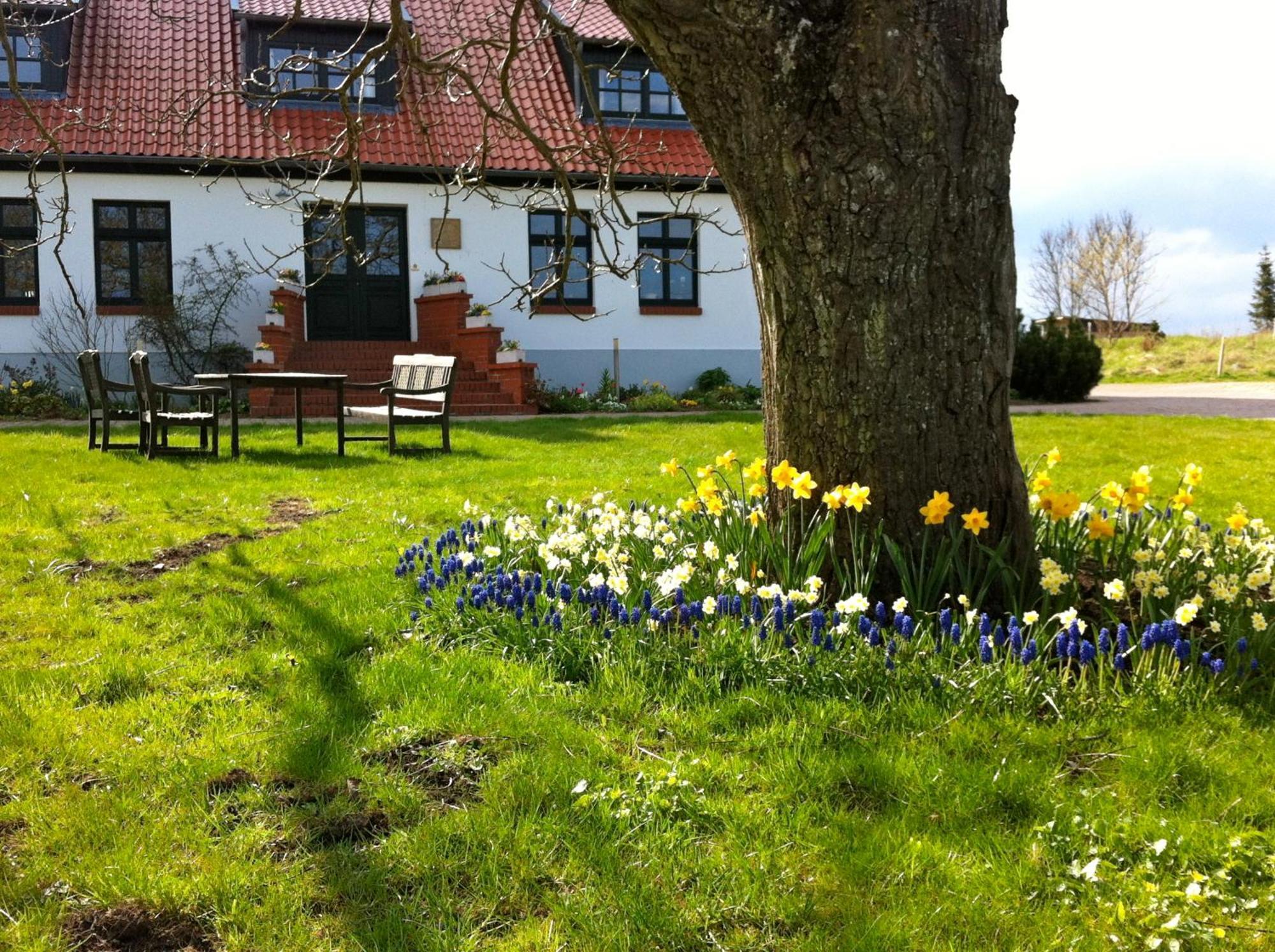 Hotel Gutshaus Ketelshagen Putbus Exteriér fotografie