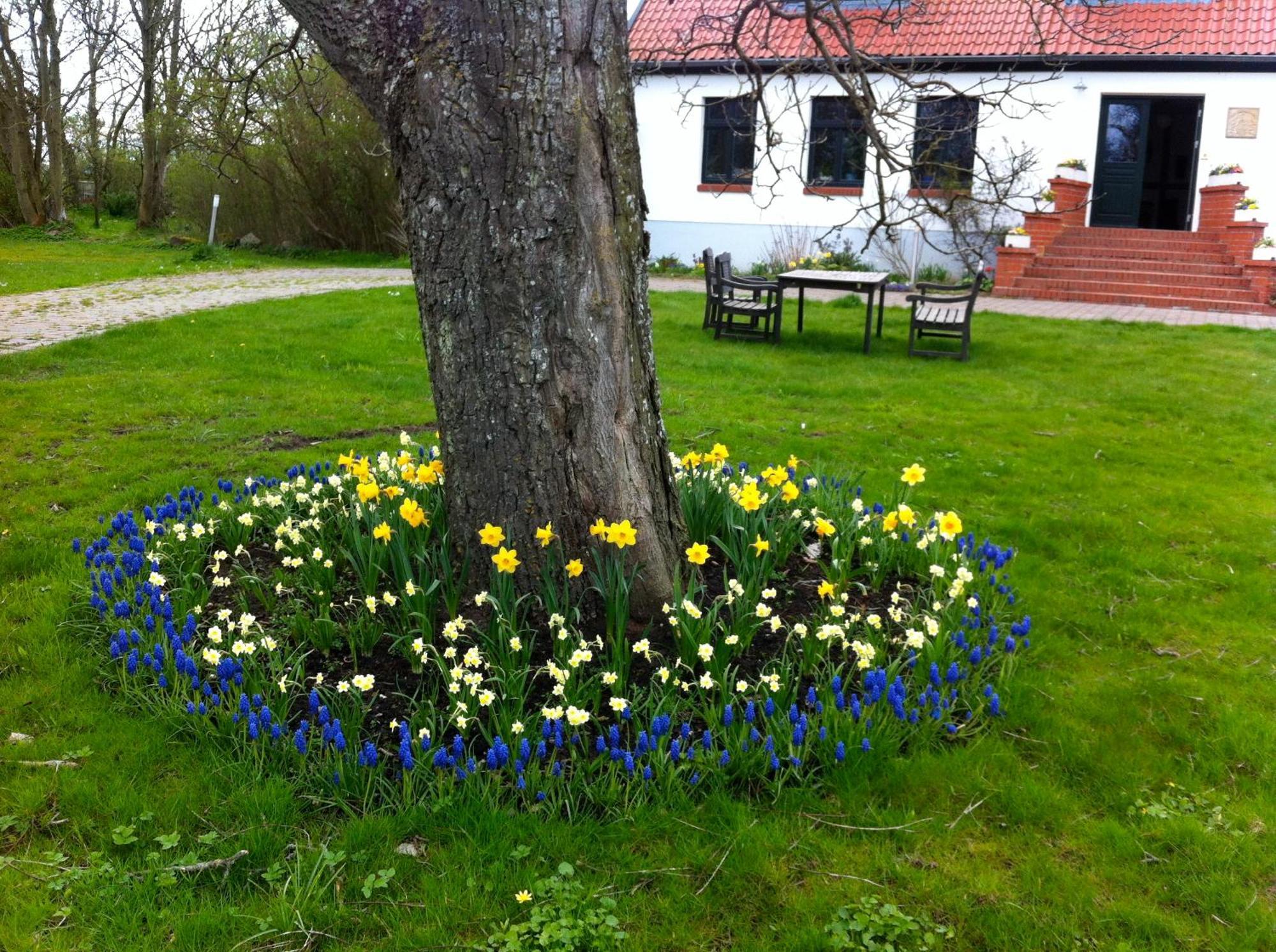 Hotel Gutshaus Ketelshagen Putbus Exteriér fotografie